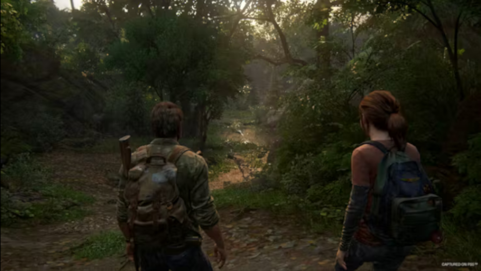 THE LAST OF US PART I PC view 3